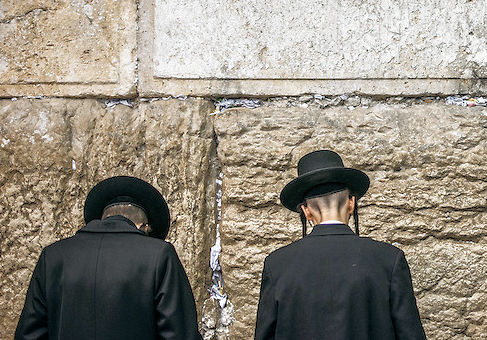 Haredi